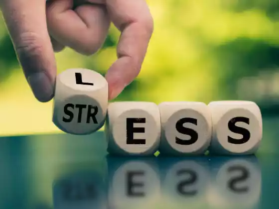 De-Stress and Succeed