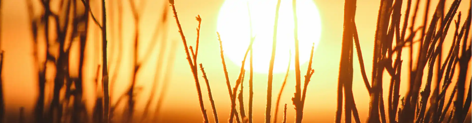 Bundle: คุณที่สวยงาม - Online Course by Learn It Live