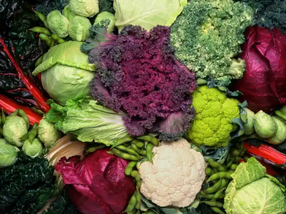 Quattro cose da fare con le verdure crocifere - Nuovo materiale! Aggiornamento per il 2025!