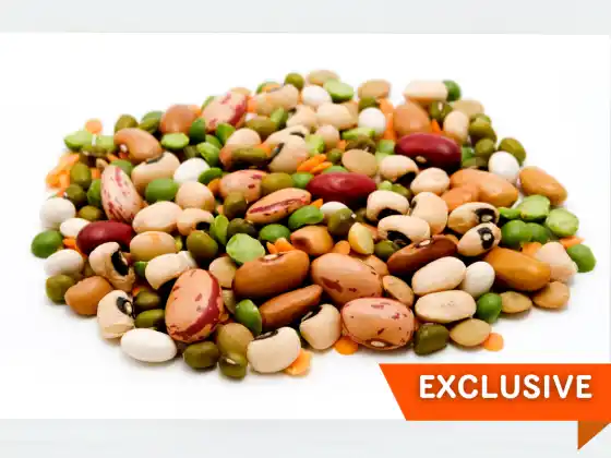Easy Peas-y – Lenticchie, piselli, baccelli e altro ancora
